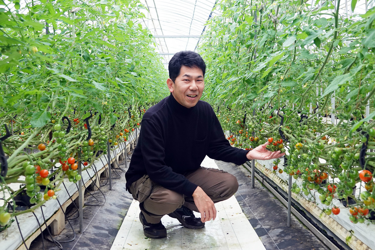 ミニトマト | 阿波市の農家さん紹介