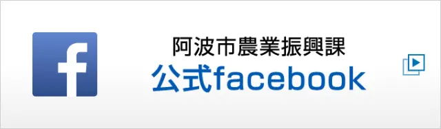 ���Ȼ����ȿ����ݸ���facebook