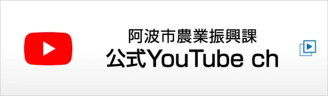 ���Ȼ����ȿ����ݸ���Youtube�����ͥ�